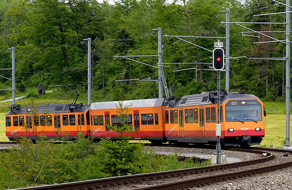 Ein Zug auf Schienen mit elektrischen Masten, Kabeln, Bäumen, Blumen, Pflanzen und Gras im Hintergrund.