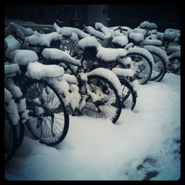 Mehrere Fahrräder stehen auf einem schneebedeckten Boden, wobei auch die Fahrräder mit Schnee bedeckt sind.