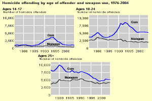 Eine Liniengraphik, die die Homicide-Offending nach Alter des Täters und Waffengebrauch von 1976 bis 2004 zeigt, mit begleitendem Text.
