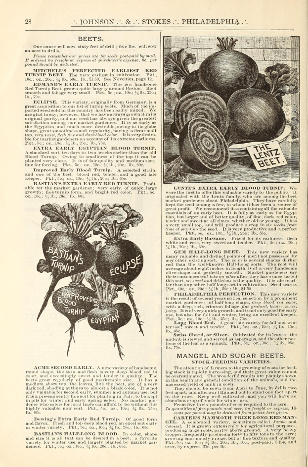 Offenes Buch mit Bildern und Text über Gemüse, darunter Rote Bete und andere Produkte.