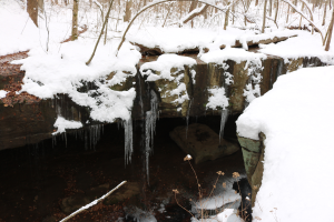 Ein kleiner Wasserfall in einem schneebedeckten Wald, mit Eiszapfen an den Felsen und schneebedeckten Bäumen im Hintergrund.