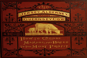 Buchumschlag mit dem Titel "Die Jersey-, Alderney- und Guernsey-Kuh: Wie man wählt, verwaltet und züchtet, um den größten Gewinn zu erzielen" mit einem Bild einer Kuh.