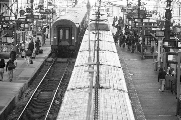 Ein belebter Bahnsteig mit mehreren Zügen auf den Gleisen und vielen Menschen auf dem Bahnsteig.