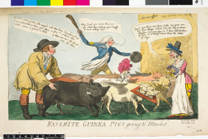 Eine Karikatur, die eine Gruppe von Menschen in traditioneller Kleidung und verschiedene Meerschweinchen-Arten zeigt, mit dem Text "Lieblings-Meerschweinchen auf dem Markt" darüber.