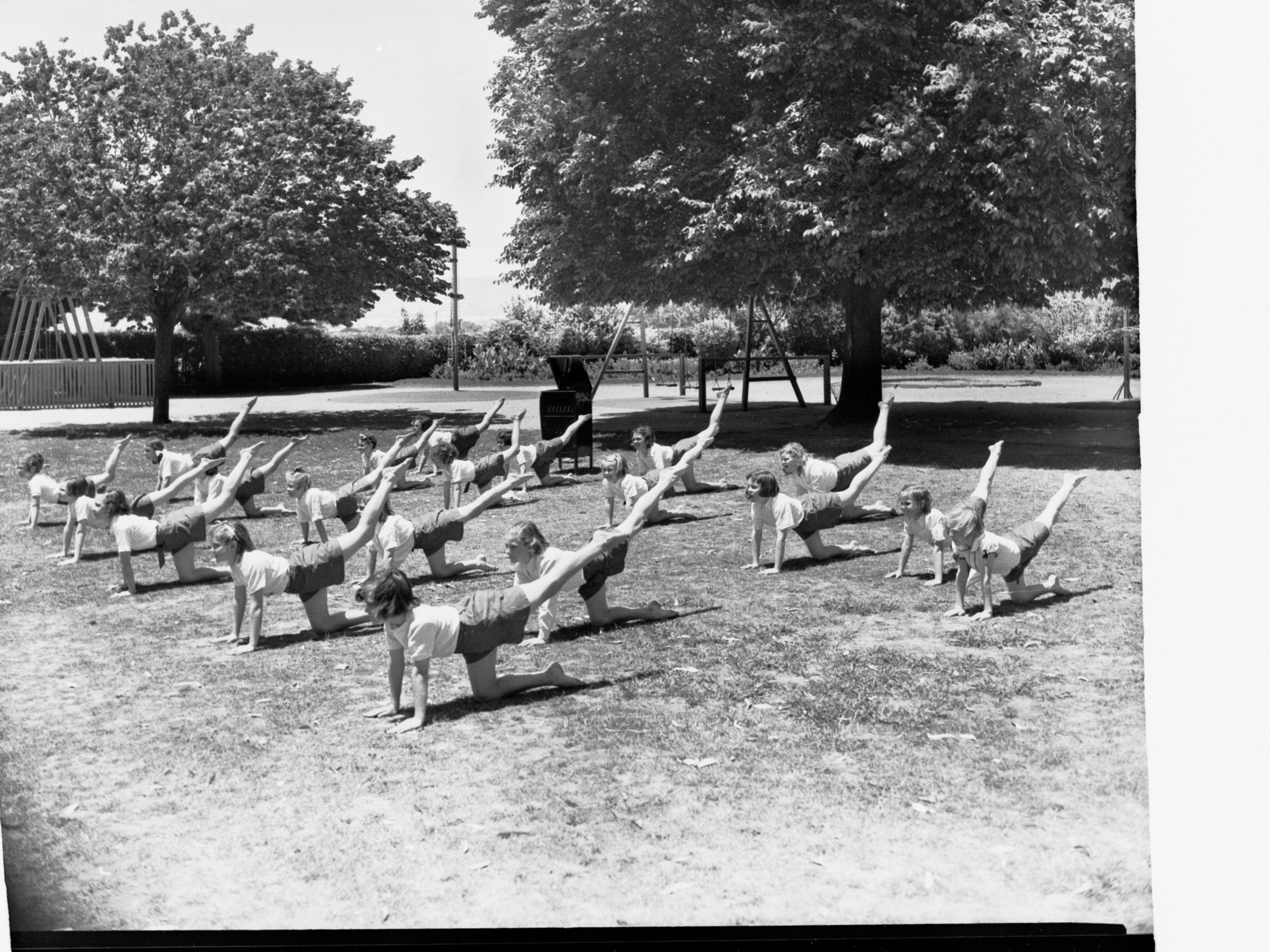 Neues Format in Halle: "Yoga für Vielfalt" verbindet körperliche Betätigung und gelebte Demokratie
