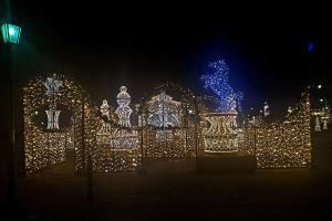 Eine nächtliche Parkszene mit Weihnachtslichtern in einem dekorativen Muster, beleuchtet von einer Straßenlaterne links daneben.