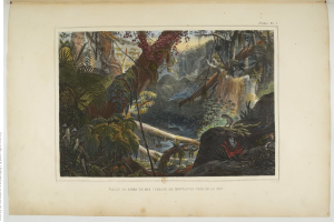 Ein offenes Buch mit einer Malerei einer üppigen Dschungelszene mit Bäumen, Pflanzen, Felsen und einem Wasserfall, mit Text unten.