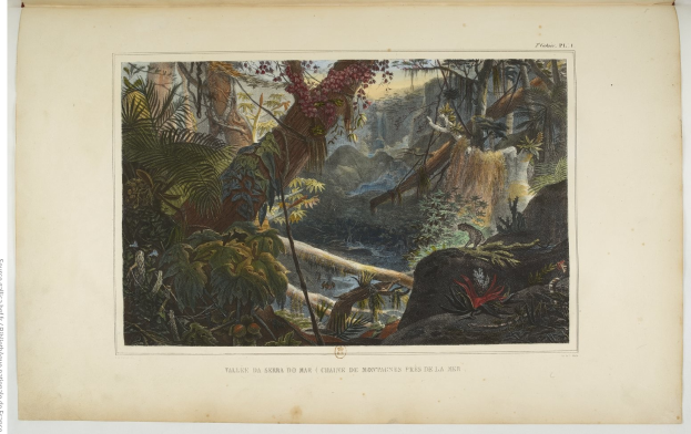 Ein offenes Buch mit einer Malerei einer üppigen Dschungelszene mit Bäumen, Pflanzen, Felsen und einem Wasserfall, mit Text unten.