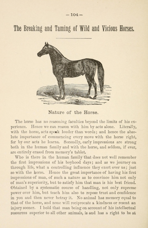 Ein Blatt Papier mit einer Zeichnung eines stehenden Pferdes mit einer wallenden Mähne und einem Schweif, dargestellt mit weit aufgerissenen Augen, aufmerksamen Ohren und einem wilden Ausdruck, neben einer fett gedruckten Schrift, die "Das Zähmen und Brechen von Wilden und Bösen Pferden" lautet.