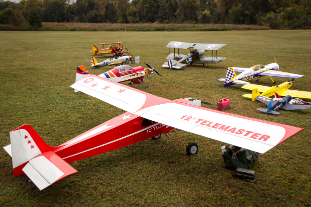 Flugzeuge auf Gras mit Bäumen im Hintergrund.
