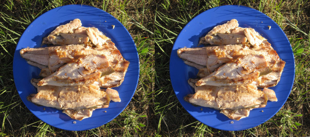 Ein Collage aus verschiedenen Fleischsorten auf Tellern.