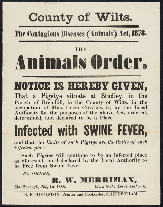 Ein Plakat mit Text, das die Animals Order Notice unter dem Contagious Diseases Animals Act, 1878, bezüglich Schweinefieber in Wiltshire ankündigt.