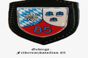 Ein Abzeichen mit der Nummer 85, das das bayerische Fussballteam repräsentiert, mit deutschem Text darunter.