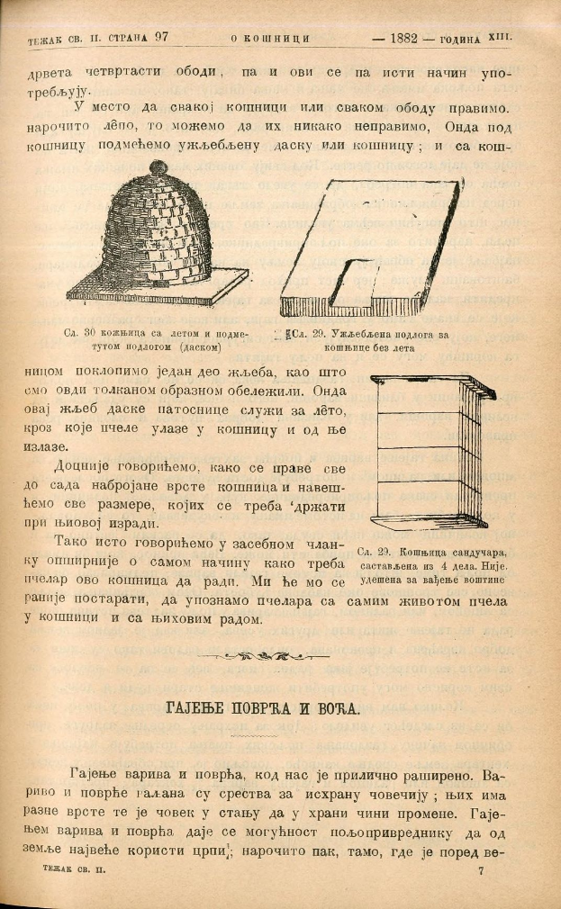 Ein aufgeschlagenes Buch mit einer Zeichnung eines Bienenstocks auf der Seite, das Text und Bilder über Bienenstöcke enthält.
