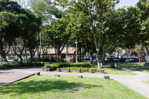 Ein Park mit grünem Gras, Bänken, Pflanzen, Bäumen, Laternenmasten und Fahrzeugen auf der Straße, mit Gebäuden und einem klaren blauen Himmel im Hintergrund.