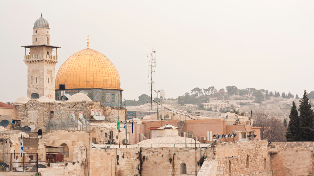 Mehrere Backsteingebäude mit Satellitenschüsseln und Klimaanlagen, mit Bäumen und Himmel im Hintergrund.
