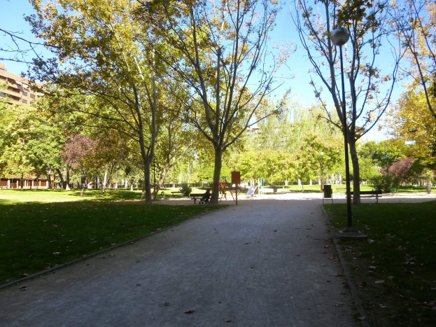 Ein von Bäumen und Bänken gesäumter Parkweg, umgeben von grünem Gras und verstreuten trockenen Blättern, mit Gebäuden und einem klaren blauen Himmel im Hintergrund.
