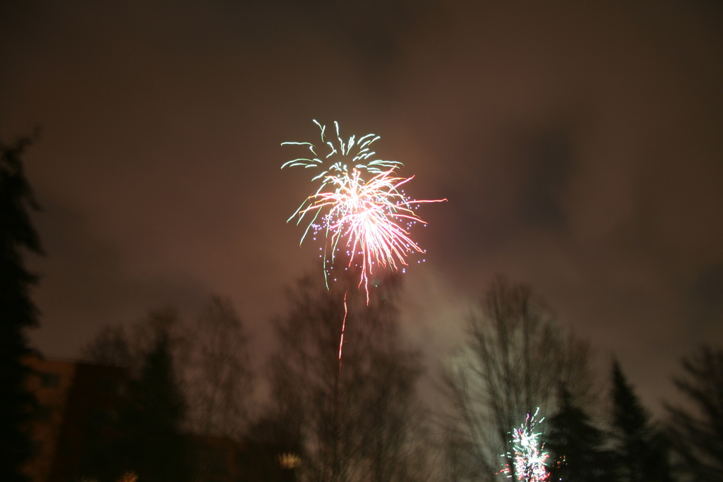 Umgestürzte Bäume mit Feuerwerk und Wolken am Himmel.