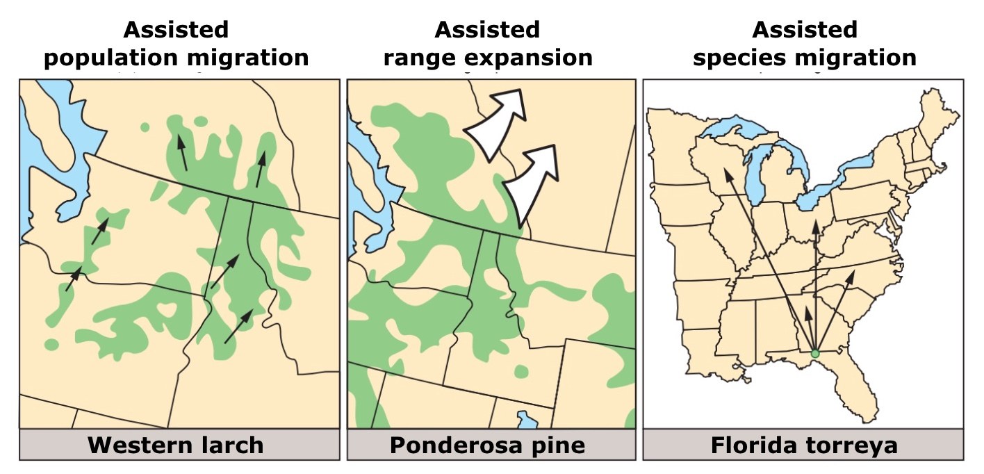 Ein Plakat mit einer Karte der USA, das verschiedene Arten der unterstützten Bevölkerungsmigration zeigt und von begleitendem Text umgeben ist.