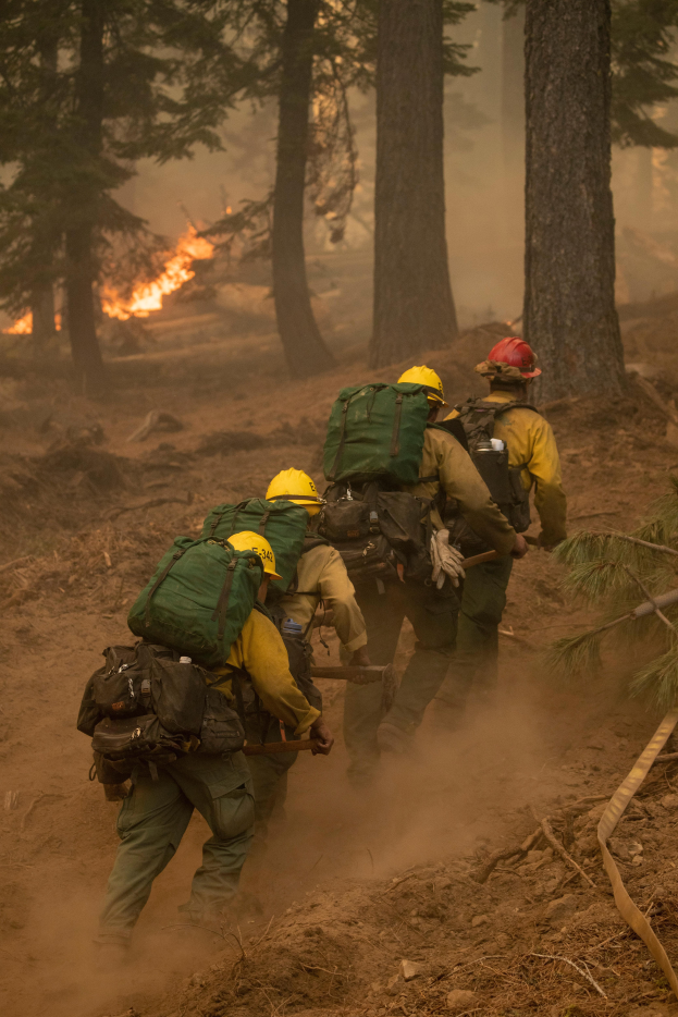 Eine Gruppe von Feuerwehrleuten in Helmen und Rürcksack wandert durch einen Wald, mit einem Feuer in der Ferne.