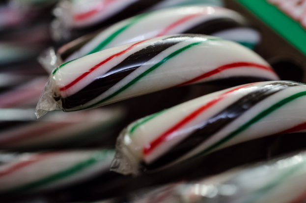 Verschiedene Pralinen ordentlich in einer Box verpackt.