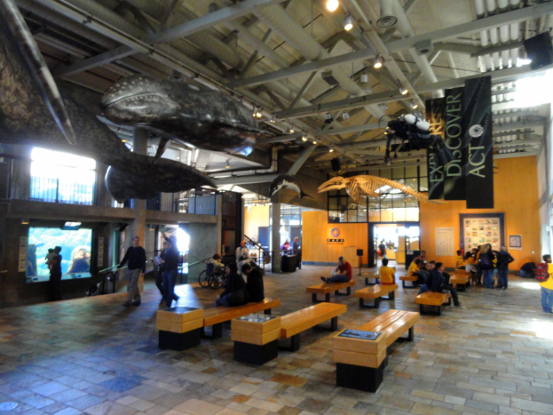 Ein großer Raum mit Menschen auf Bänken und Stehplätzen, mit Transparenten, Lichtern und einem Bildschirm, der an ein Museums Setting erinnert.