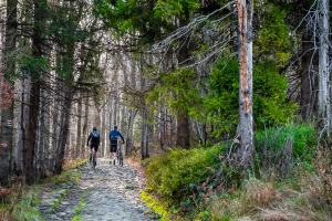 Zwei Personen mit Helmen und Rucksäcken fahren auf einem Kopfsteinpflasterweg durch einen Wald, umgeben von Bäumen und Pflanzen auf beiden Seiten.