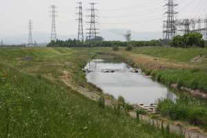 Ein Fluss fließt durch eine grüne Wiese mit Stromleitungen, Vegetation und Türmen im Vordergrund, mit Bergen und Himmel im Hintergrund.