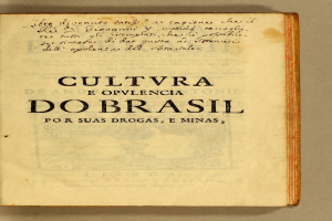 Ein aufgeschlagenes Buch mit dem Titel "Cultura do Brasil" in fetter, schwarzer Schrift auf dem Cover, das auf einer flachen Oberfläche liegt.