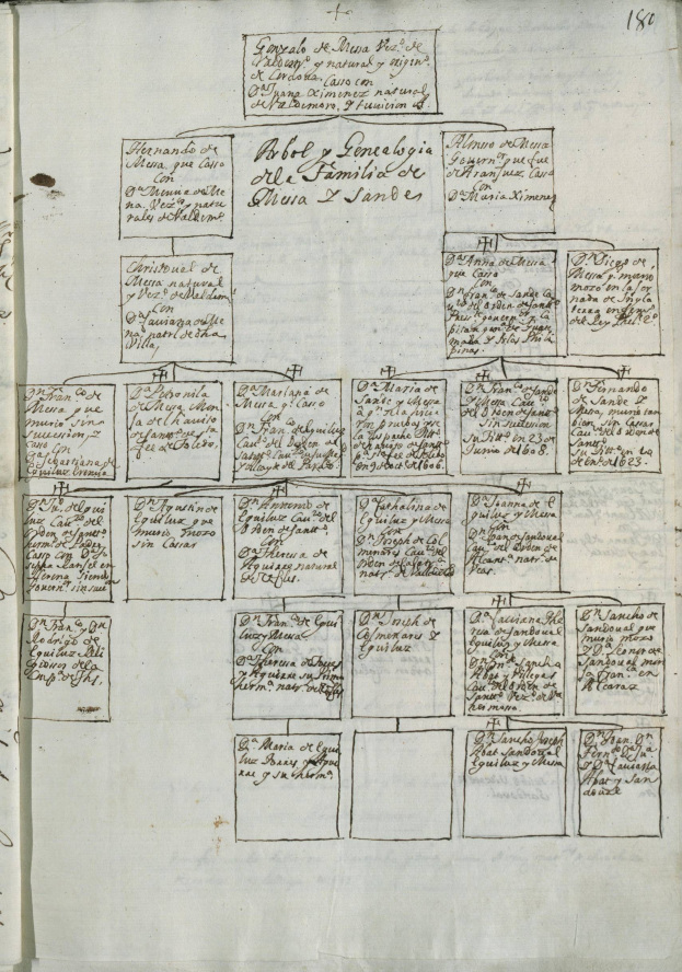 Ein aufgeschlagenes Buch mit einer handgezeichneten Familiengeschichte.