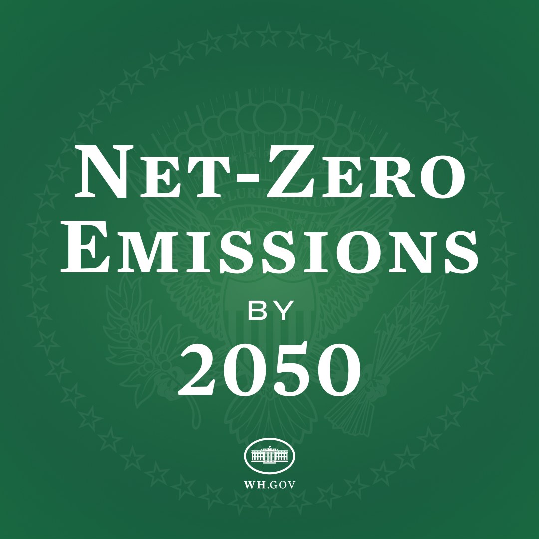 Weißer fetter Text "netto-null-Emissionen bis 2050" auf einem festen grünen Hintergrund.