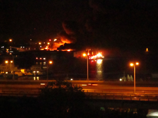 Großbrand in einer Stadt bei Nacht mit Straßenlaternen, einem Baum im Vordergrund, dunklem Himmel und naher Wasserfläche.