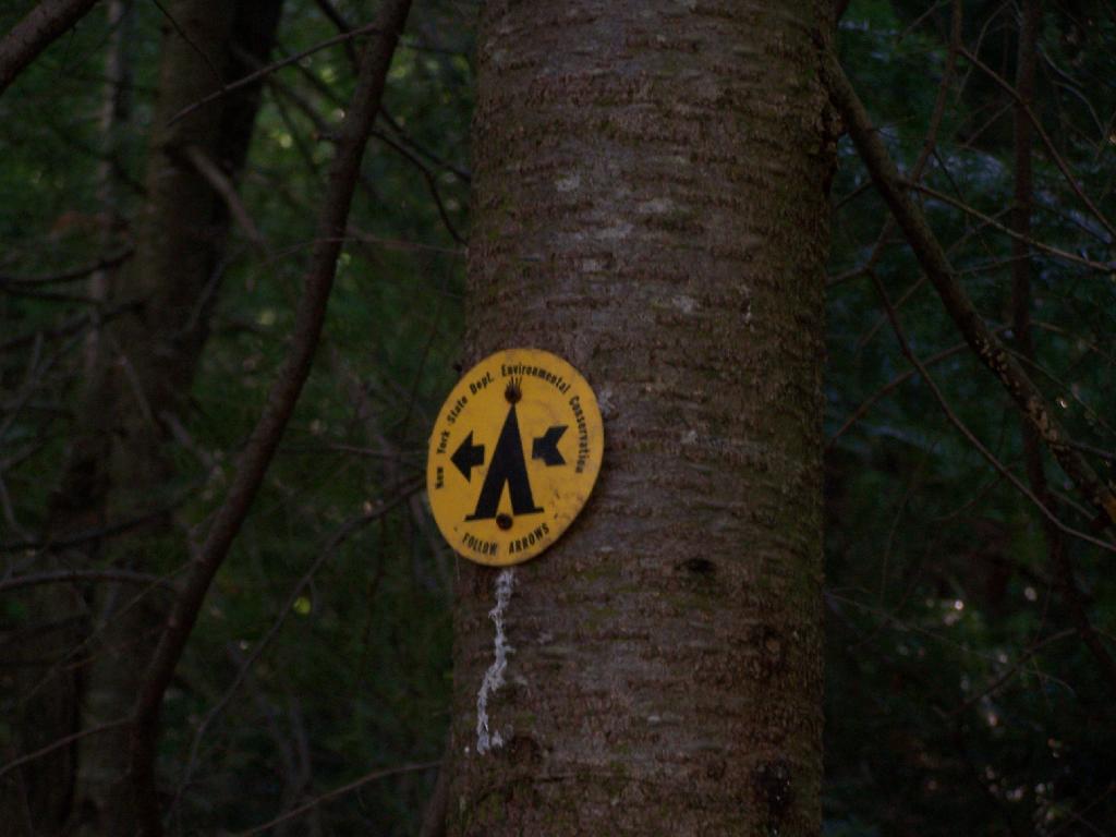 Ein Baum mit einer Warnschild daran, umgeben von vielen anderen Bäumen in einem bewaldeten Gebiet.